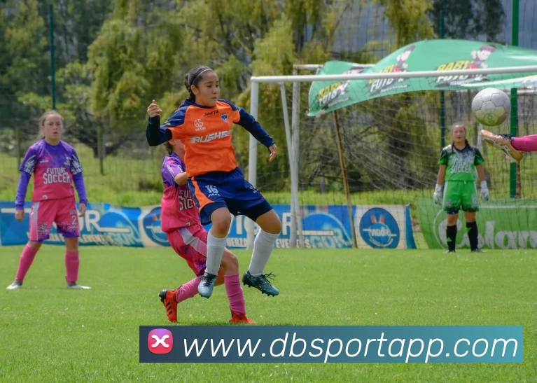 多宝体育APPAPP 封面图